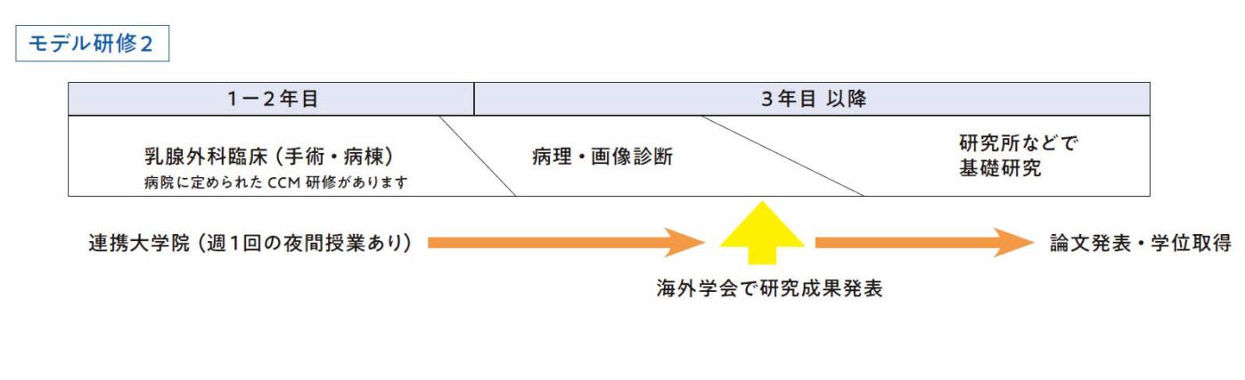 モデル研修2　3年間で漸次 乳腺外科臨床、病理・画像診断、研究所等で基礎研究、論文発表・学位取得へ