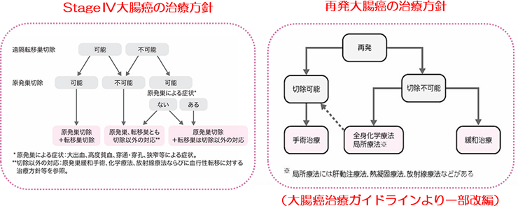 ステージ4または再発と診断された場合 国立がん研究センター 中央病院