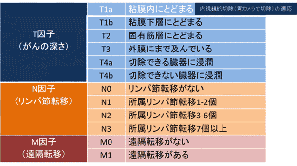 表1：食道がんTNM分類（UICC第7版）の画像