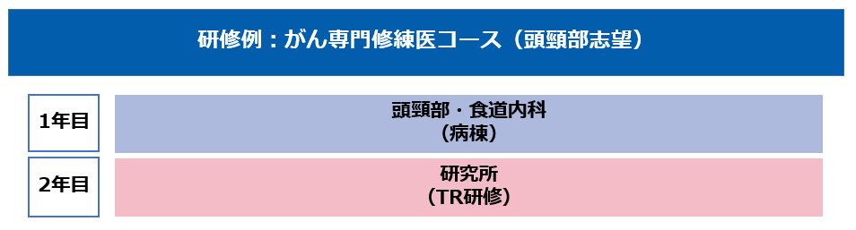 研修例:がん専門修練医コース(頭頸部志望)