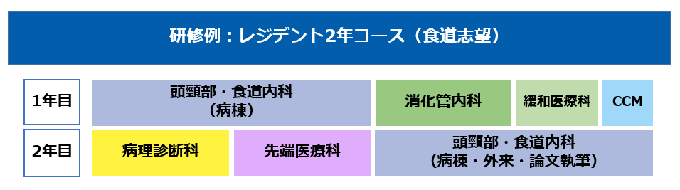 研修例:レジデント2年コース(食道志望)