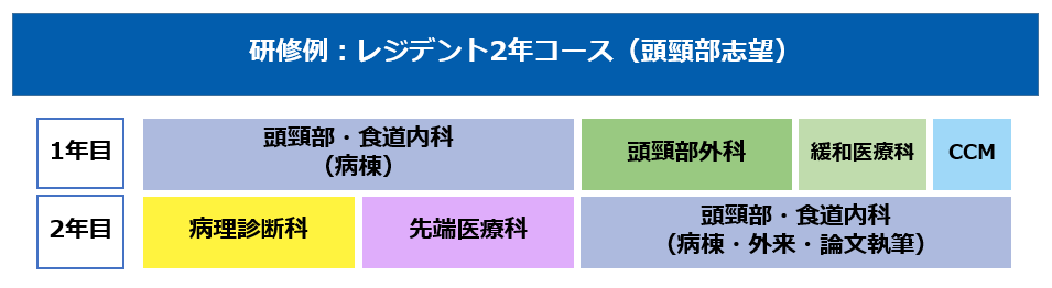 レジデント2年コース:1年目頭頸部内科・緩和他、2年目病理診断・頭頸部内科病棟外来論文執筆 研修例:レジデント2年コース(頭頸部志望)