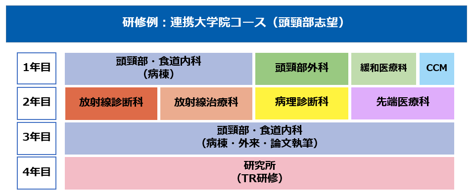 連携大学院コース:1年目年目頭頸部内科・外科病棟・緩和、2年目研究所でTR研修、3年目病理診断他、4年目頭頸部内科病棟論文執筆 研修例:連携大学院コース(頭頸部志望)