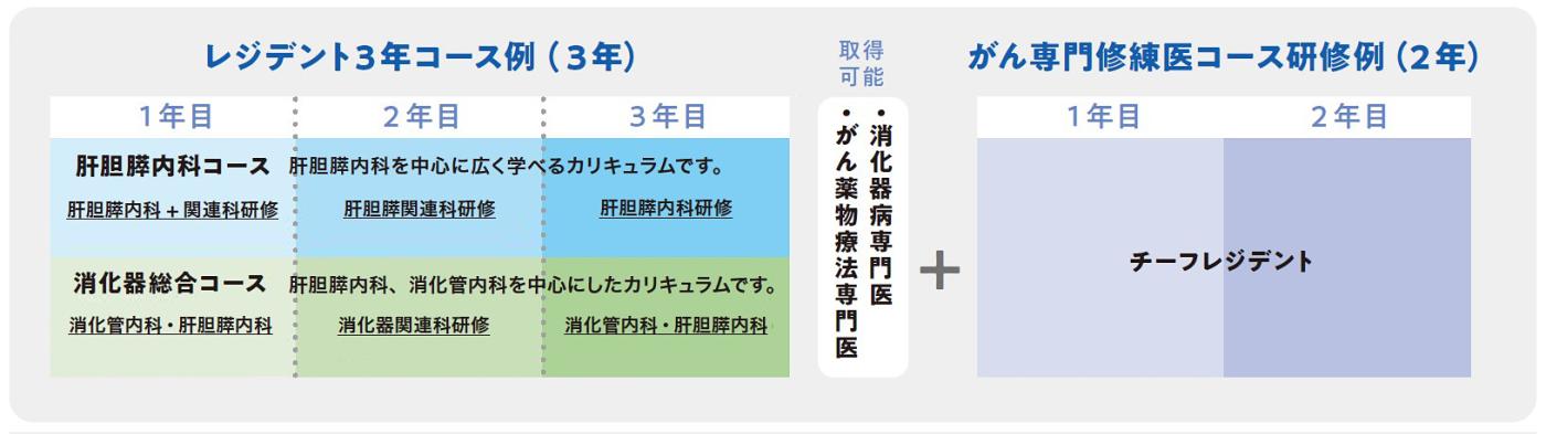 化器病専門医取得可能な肝胆膵内科または消化器総合の3年コース＋2年間のがん専門修練医コース