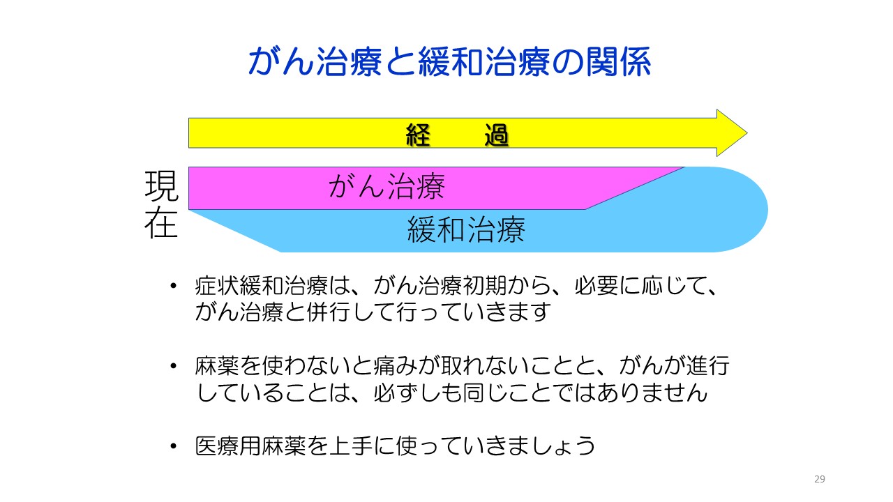 入門編１ 膵がん・胆道がんの診断と治療スライド29