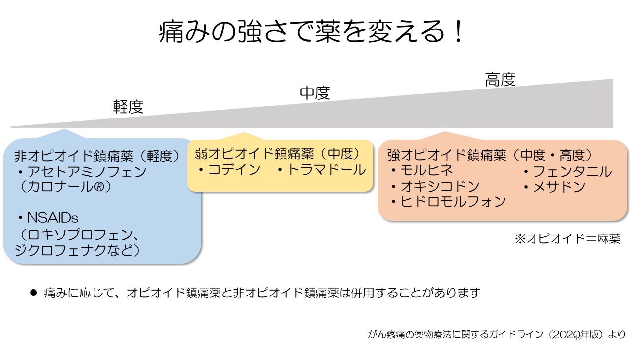抗がん剤副作用対策と痛みのコントロールスライド１２