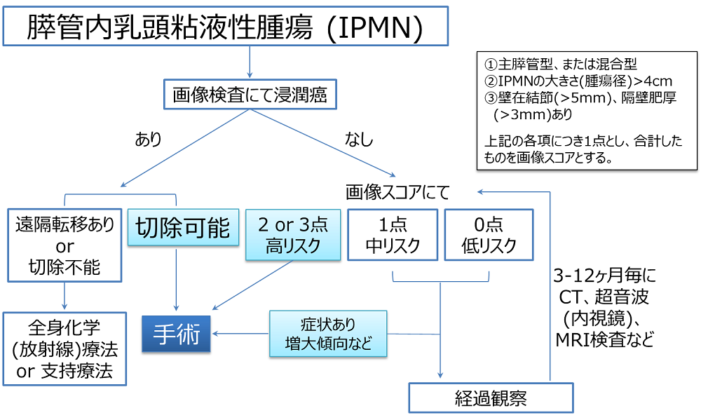 図2_IPMNの治療の流れ