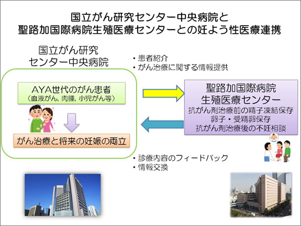 図2　NCC-聖路加妊孕性連携