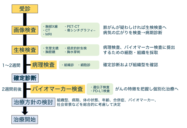 受診から治療開始までの大まかな流れの画像