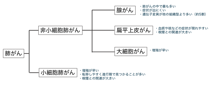 組織型診断の図