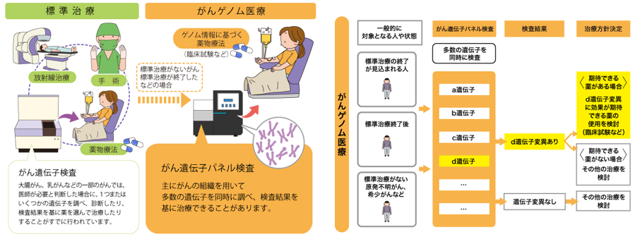 ゲノム検査の流れ