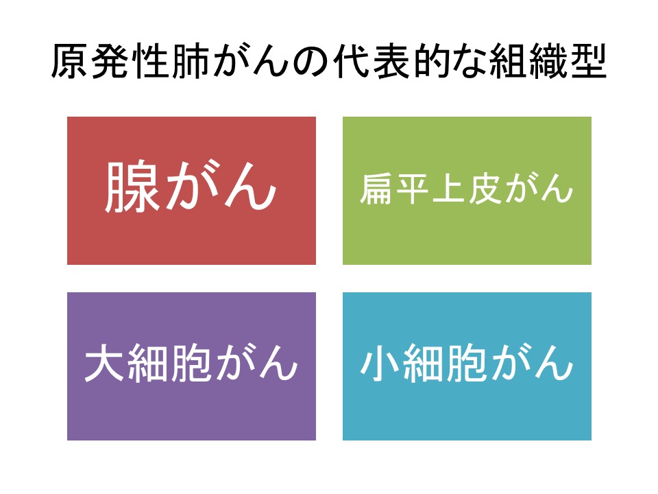 肺腺がんについて 国立がん研究センター 中央病院