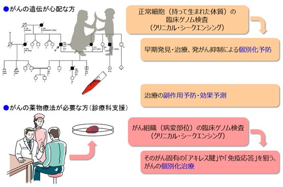 がんの遺伝が心配、がんの薬物療法が必要