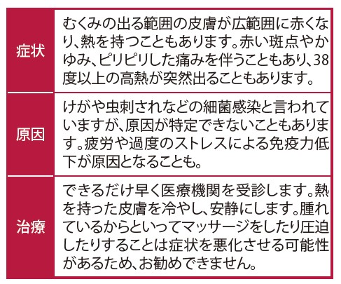 食事療法と勃起不全の関係