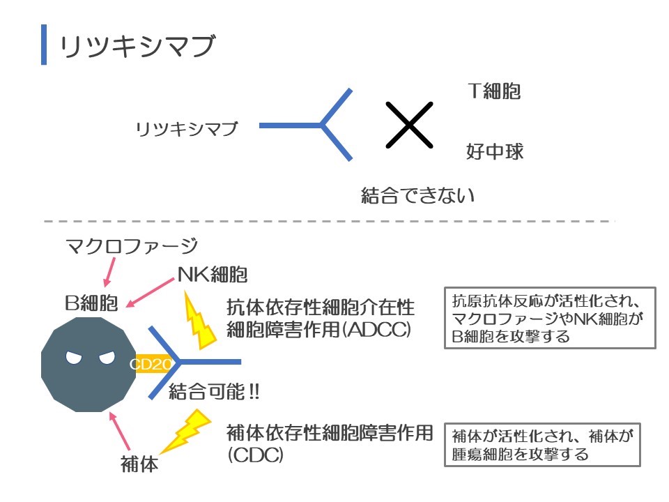 第4回 薬薬連携を充実させるための研修会　開催報告