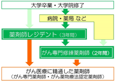 薬剤師レジデント・がん専門修練薬剤師の位置付け画像