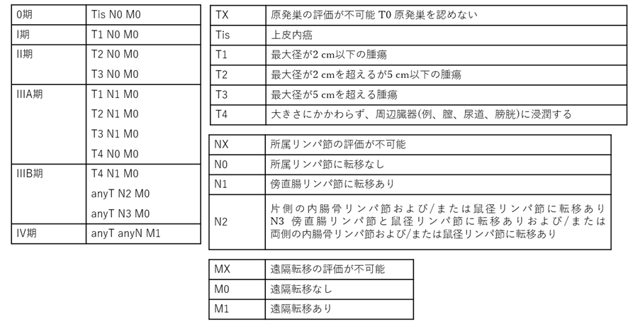 肛門がんの病期（ステージング）：UICC-TNM分類 第8版