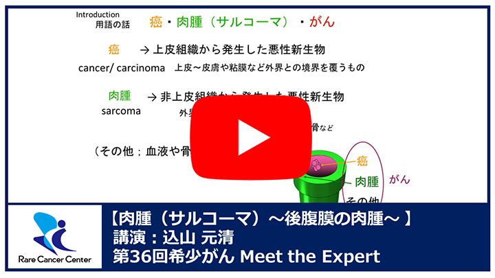 第36回肉腫(サルコーマ)~後腹膜の肉腫~講演:込山 元清
