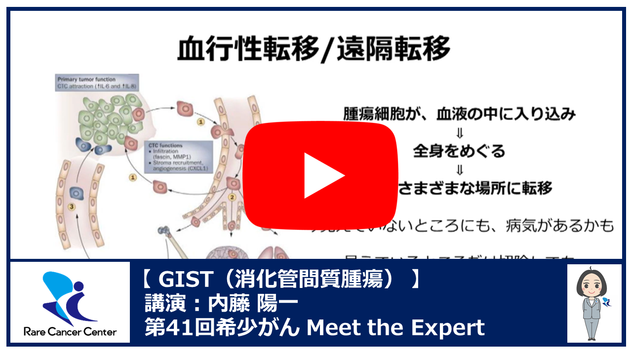 第41回GIST(消化管間質腫瘍）講演：内藤 陽一2