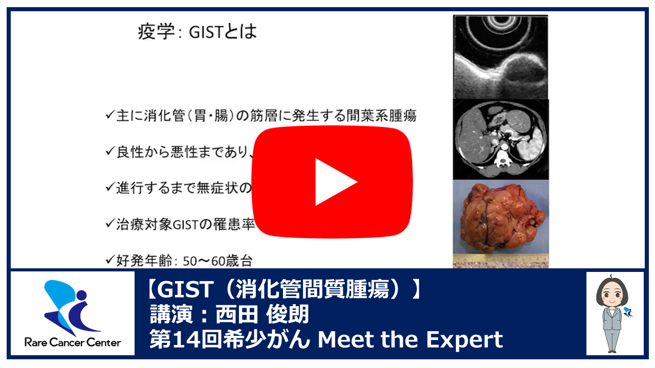 第14回GIST（消化管間質腫瘍）講演：西田 俊朗2