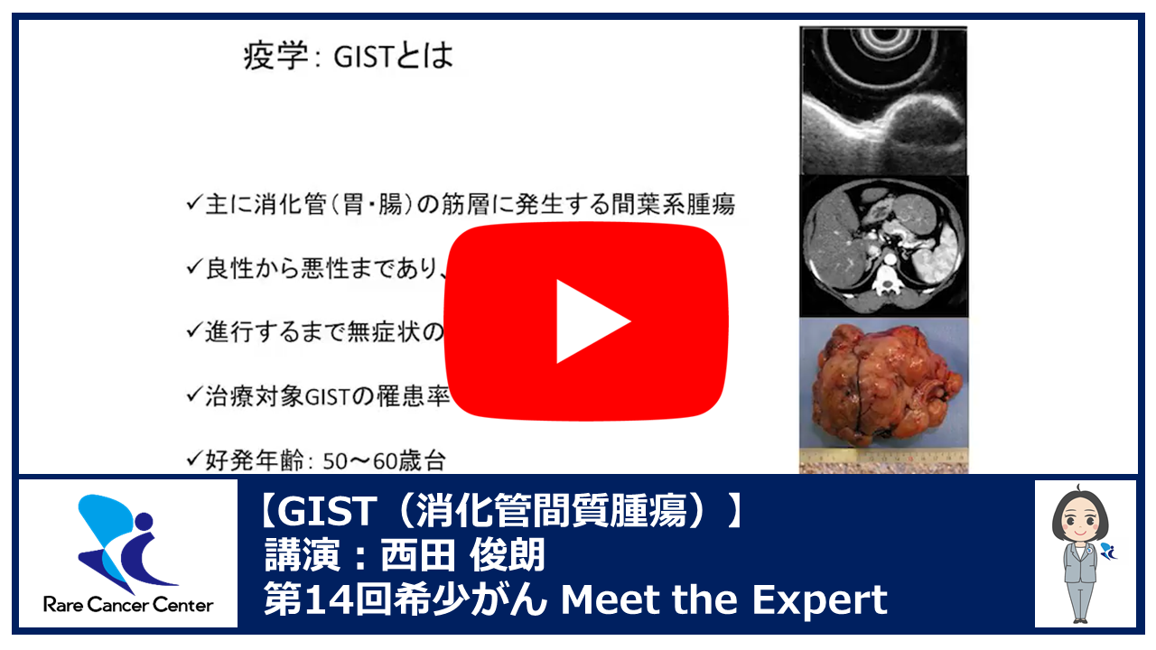 第14回GIST(消化管間質腫瘍)講演:西田 俊朗2