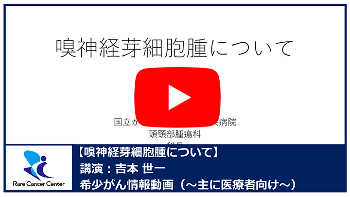 嗅神経芽細胞腫について：吉本世一