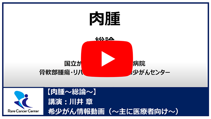 肉腫～総論～：川井章