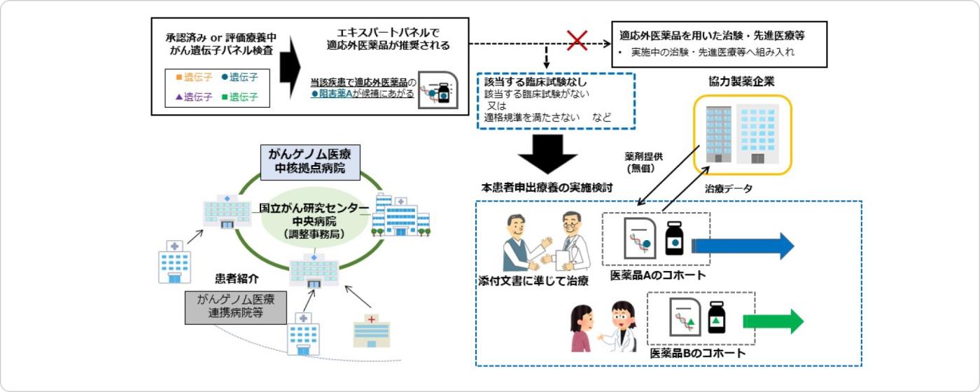 BELIEVE試験