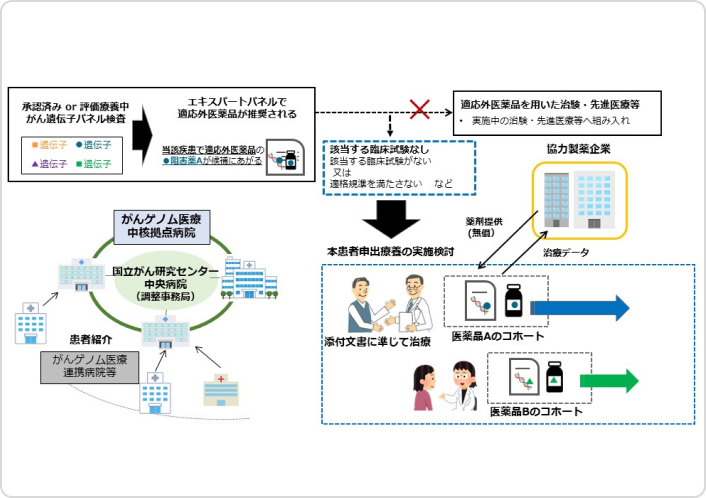 BELIEVE試験