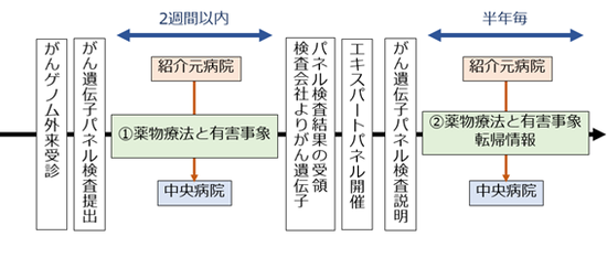 図　エキスパートパネル開催後の薬物療法と有害事象