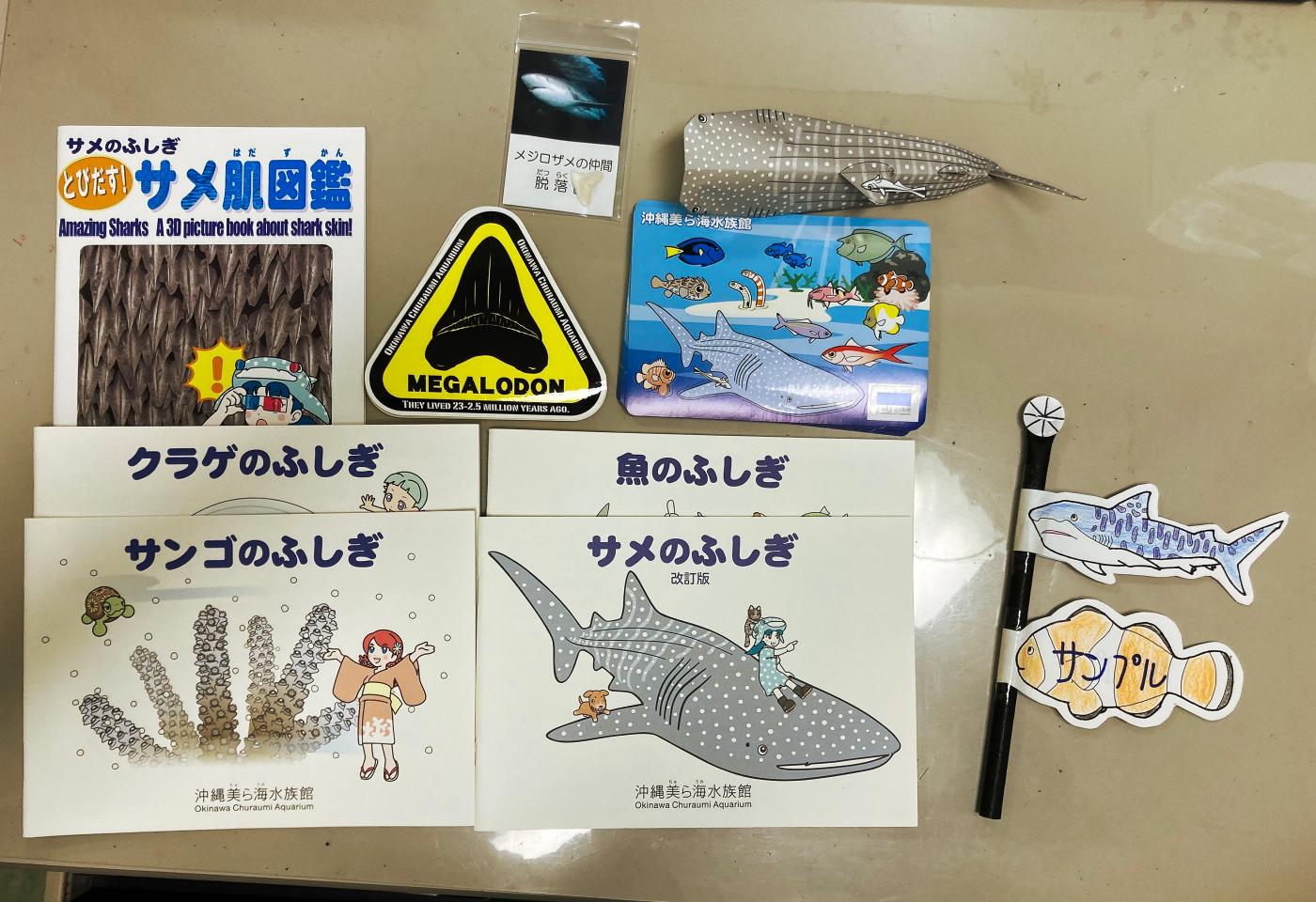 沖縄美ら海水族館より子供たちへいただいたサメ肌図鑑などの画像