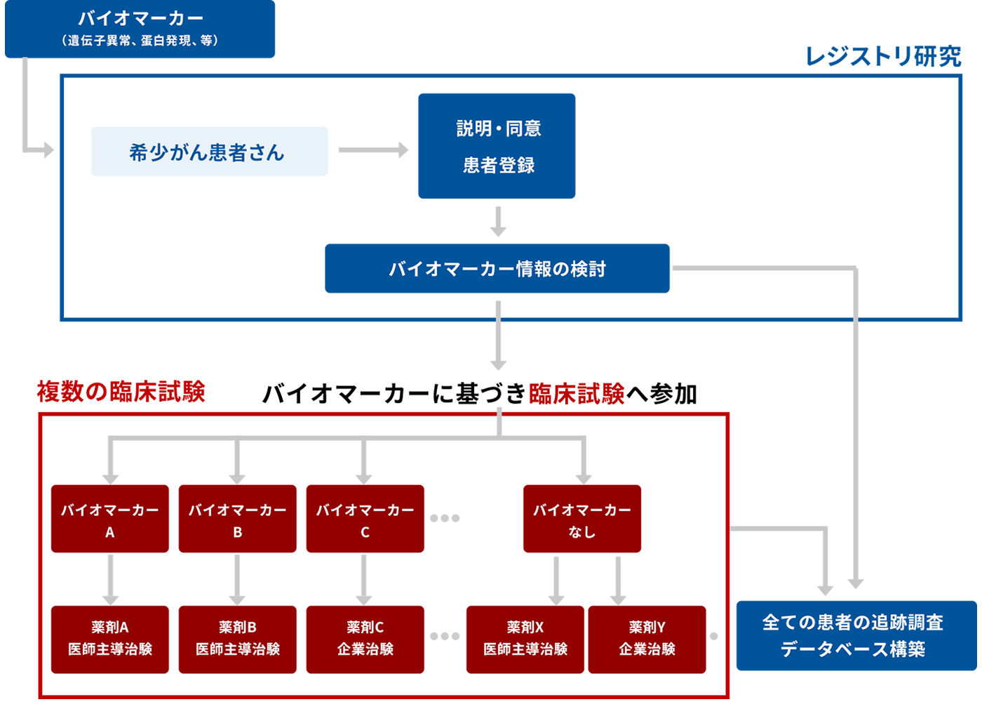 スキーム図