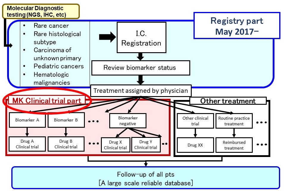 MK_Clinical_Trial_part