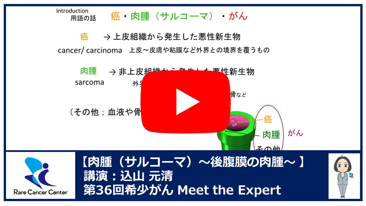 第36回肉腫(サルコーマ)~後腹膜の肉腫~講演:込山 元清2
