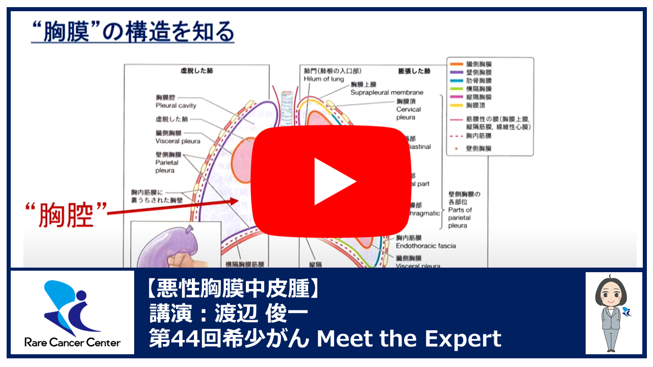 第44回悪性胸膜中皮腫講演:渡辺 俊一2