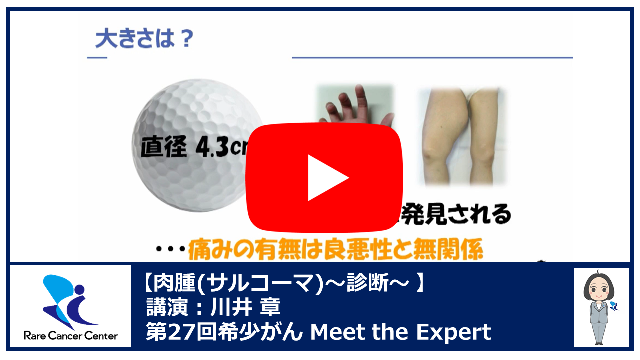 第27回肉腫(サルコーマ)の診断講演:川井 章2