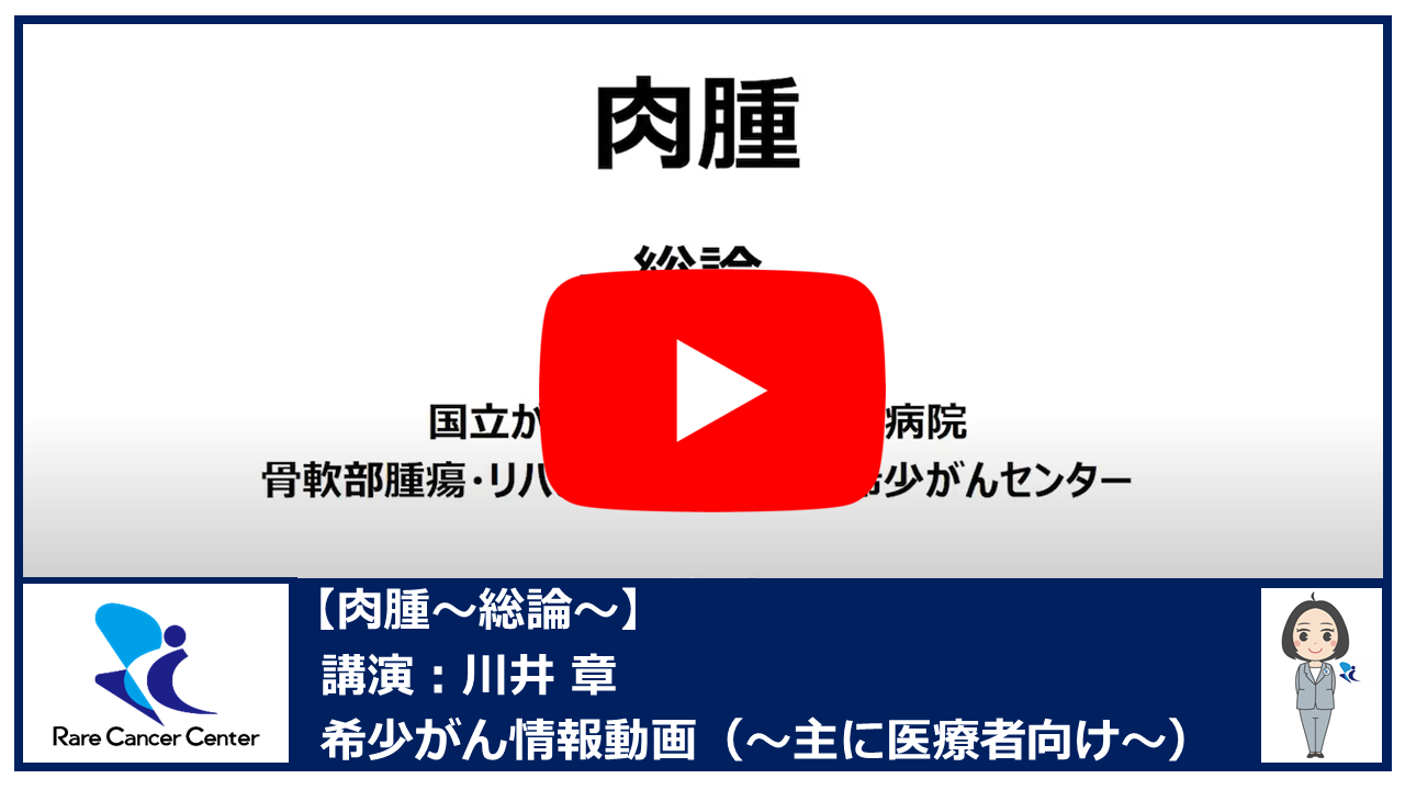 肉腫~総論~:川井章2