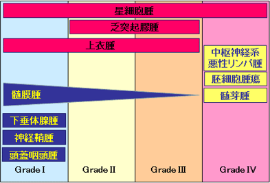 主な原発性脳腫瘍と悪性度画像