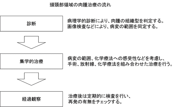 頭頸部の肉腫 希少がんセンター