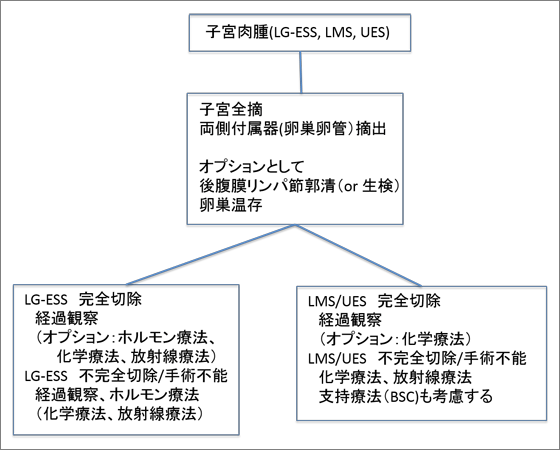 子宮肉腫の治療フローチャート画像