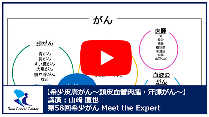 第58回希少皮膚がん～頭皮血管肉腫・汗腺がん～講演：山崎 直也