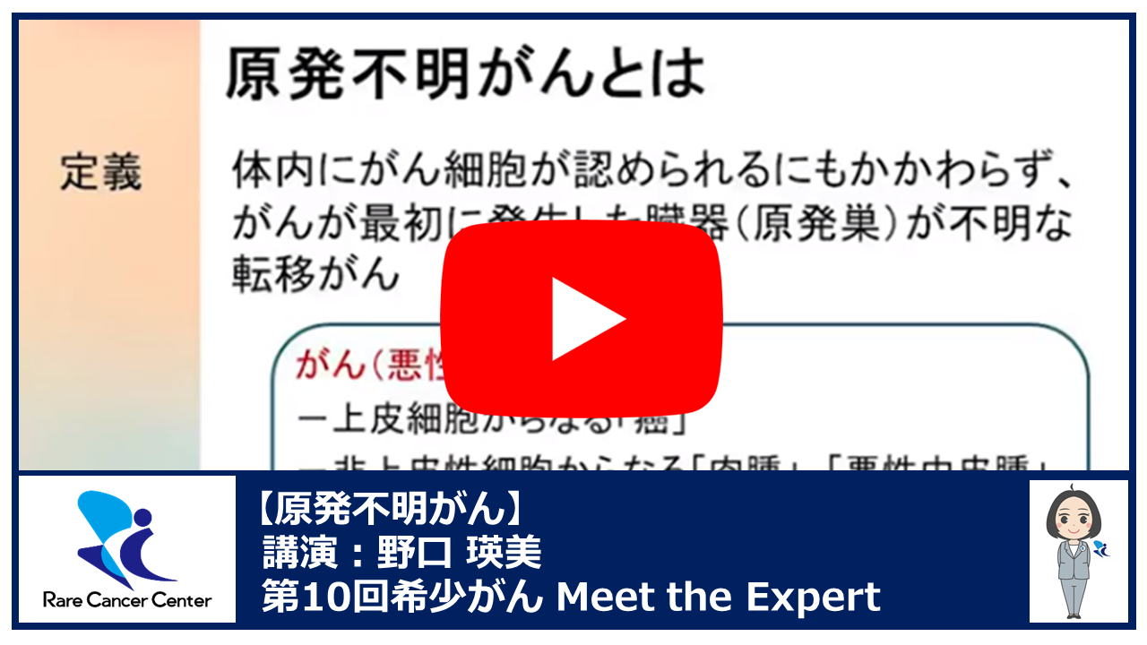 第10回原発不明がん講演：野口 瑛美2