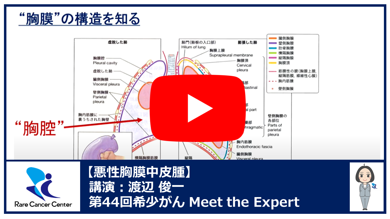 第44回悪性胸膜中皮腫講演：渡辺 俊一2