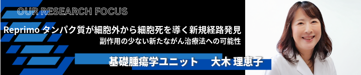 Reprimo タンパク質が細胞外から細胞死を導く新規経路発見バナー