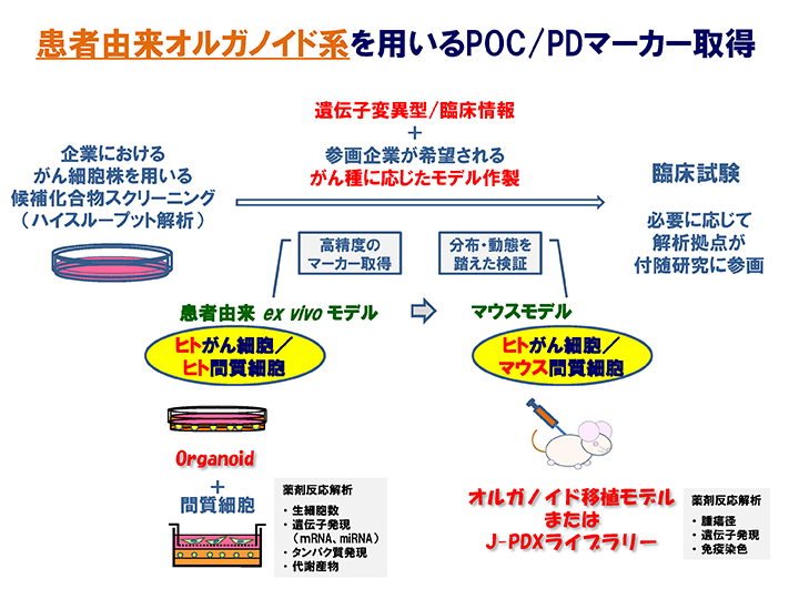 研究プロジェクト 国立がん研究センター 研究所