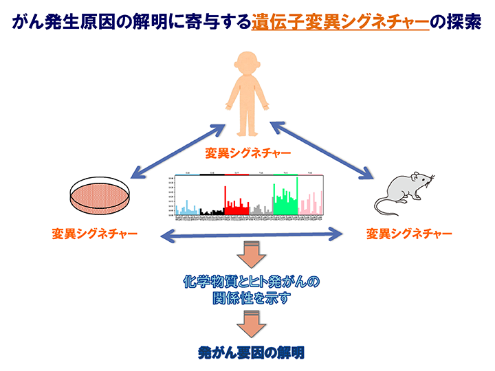 遺伝子変異シグネチャー