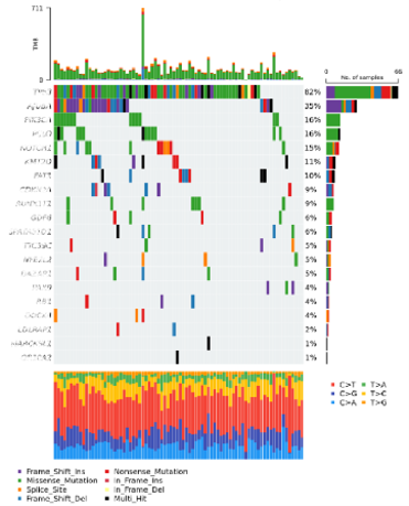 OncoPrint