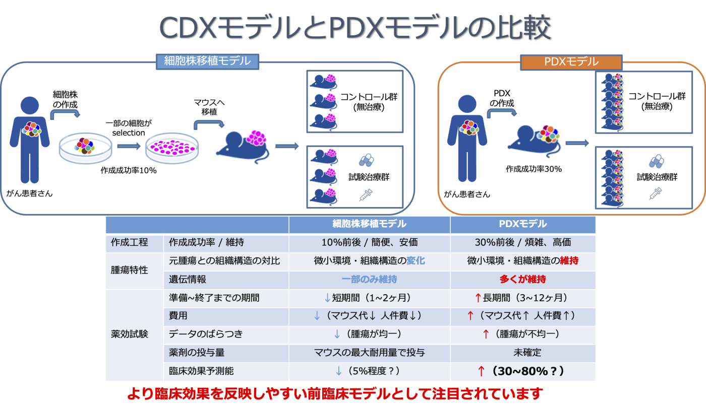 cdx-pdx.pdf