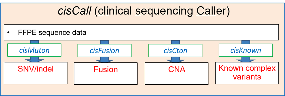 linked to Fig1_cisCall.pdf