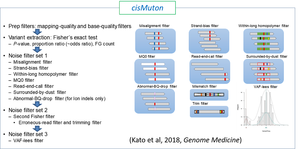 linked to Fig2_cisMuton.pdf